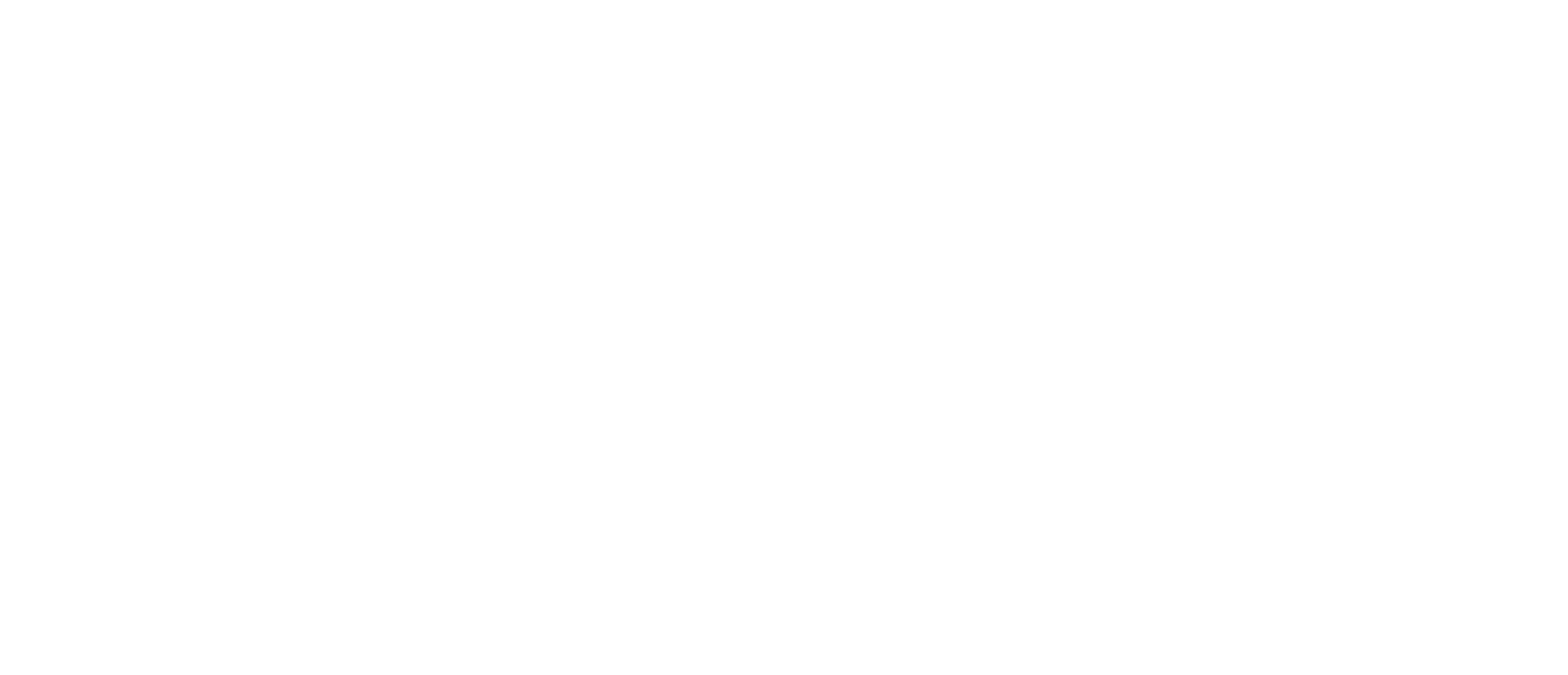 SALZEE Logo